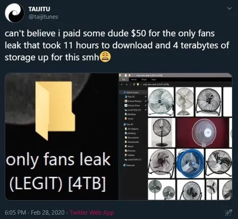 Four Terabyte OnlyFans Leak