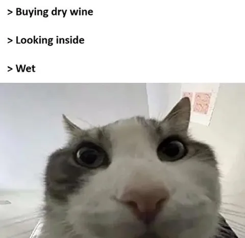 Buying Dry Wine Surprise