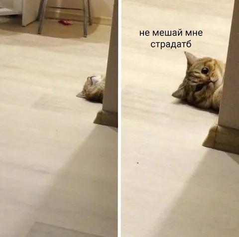 Не мешай мне страдать