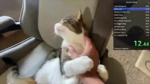 Cat Boss Fight Speedrun