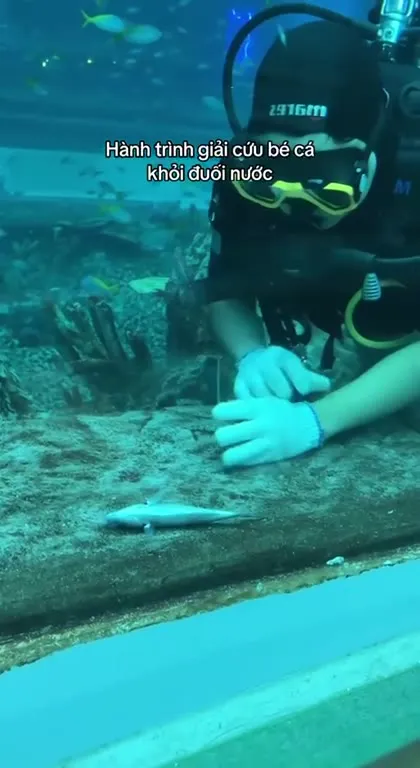 Спасение маленькой рыбки под водой