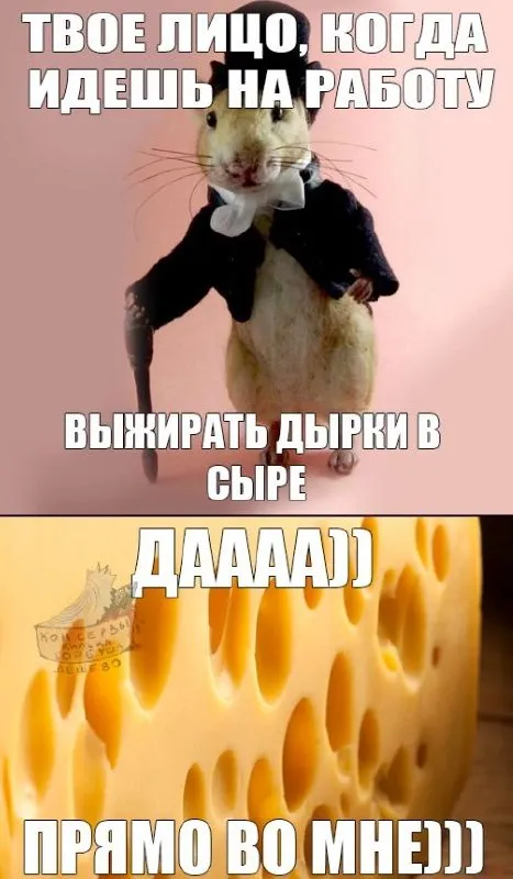 Лицо на работе в сыре