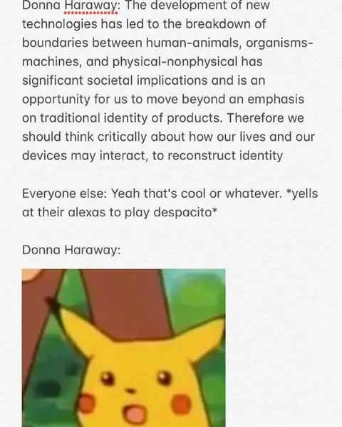 Donna Haraway Meets Surprised Pikachu