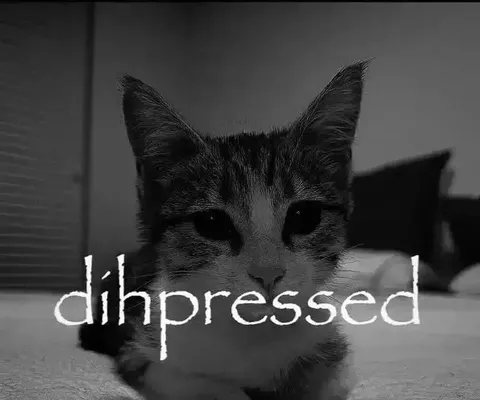 Dihpressed Sad Cat