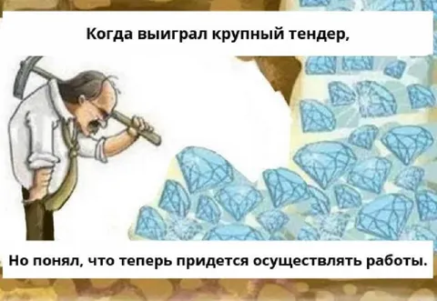 Выиграл тендер — пришлось работать