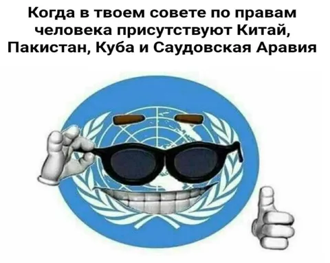 Совет по правам человека ООН