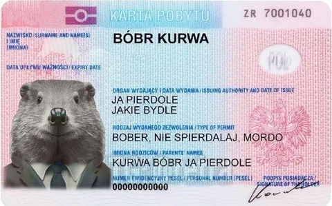 Karta pobytu bobra