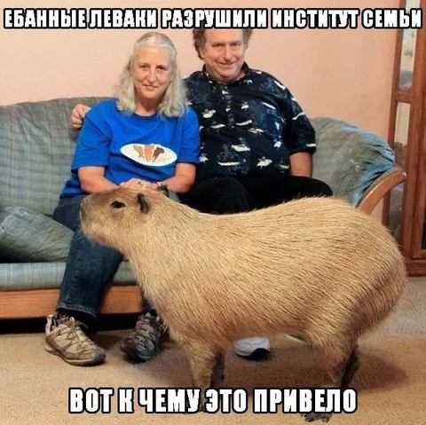 Ебанные левaки разрушили институт семьи