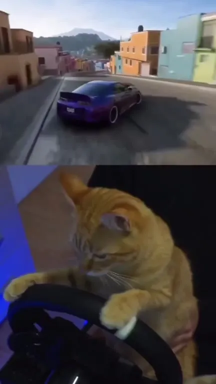 Cat Drives Like a Maniac