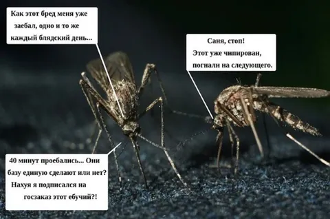 Комары на госзаказе