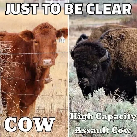 High Capacity Assault Cow