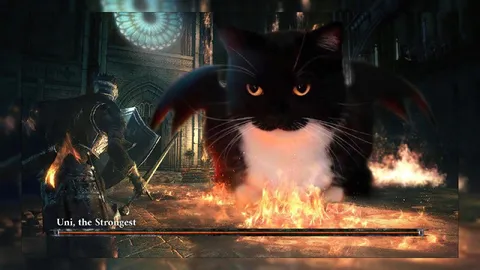 Uni the Strongest Cat Boss