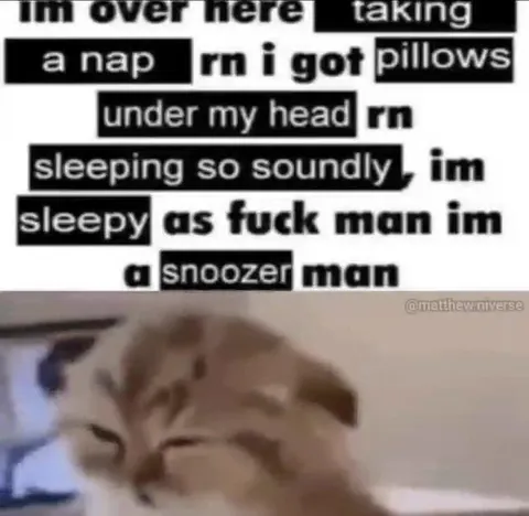 Sleepy Cat Snoozing Hard