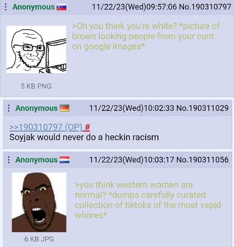 Soyjak Would Never Do Racism