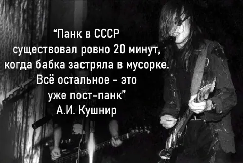 Панк в СССР застрял в мусорке