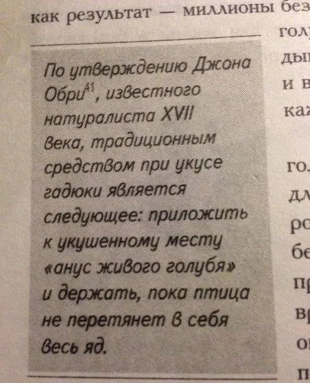 Анус живого голубя от укуса гадюки