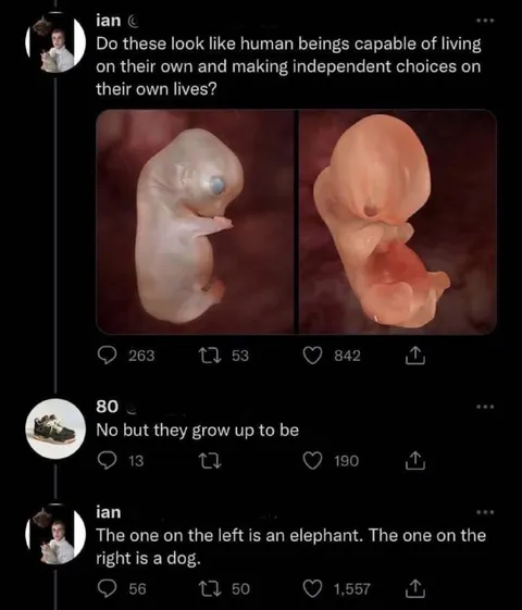 Elephant and Dog Fetuses