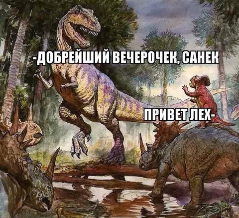 Добрейший вечерочек, Санек