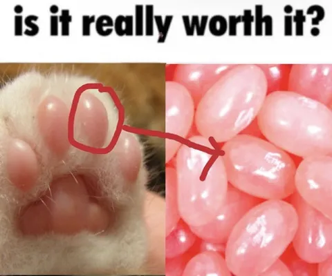 Is It Really Worth It?