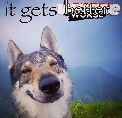 Smiling Wolf It Gets Better