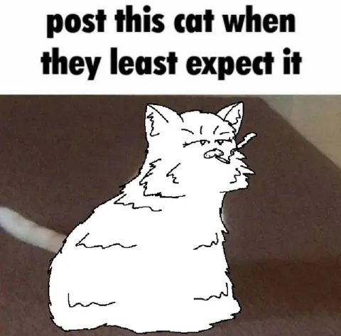 Cat When Least Expected