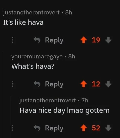 Hava Nice Day Pun