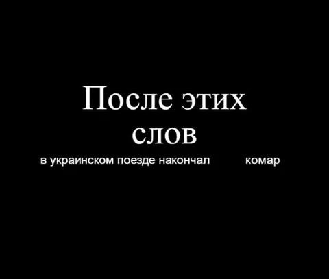 Комар в украинском поезде