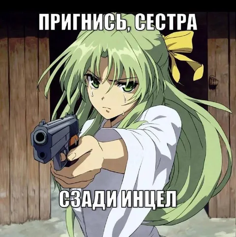 Пригнись, сестра, сзади Инцел