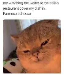 Cat Watching Parmesan Cheese