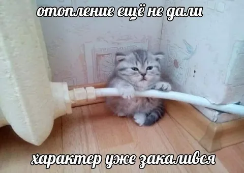 Отопление ещё не дали