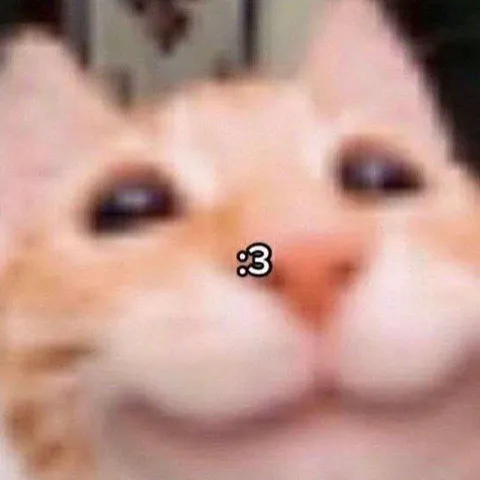 Милый котик :3