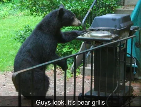Bear Grills at the Barbecue