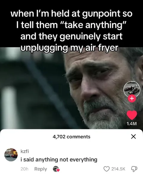 They Unplugged My Air Fryer