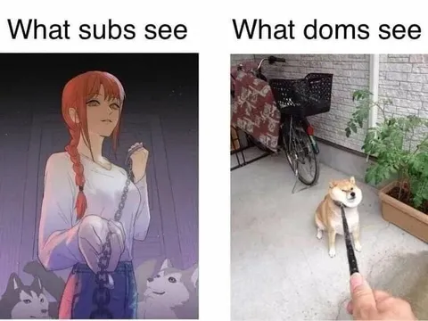 What Subs See vs Doms See
