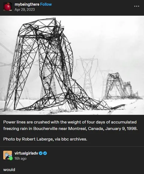 Power Lines Crushed by Snow