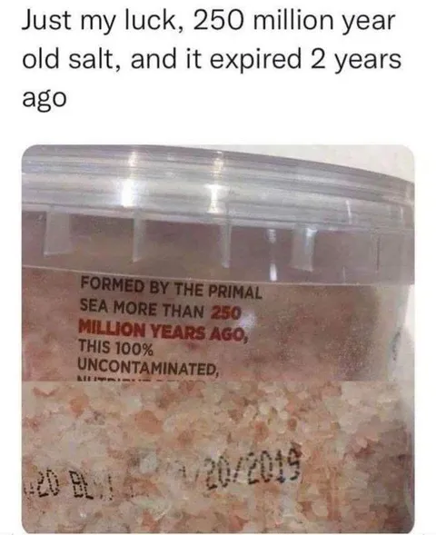 Expired 250 Million Year Old Salt