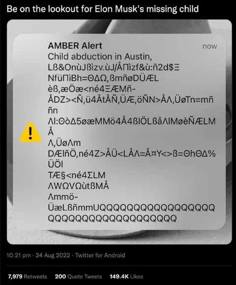 Elon Musk Missing Child Alert