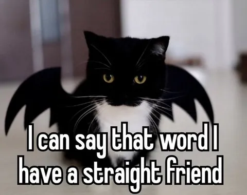 Black Cat Can Say That Word