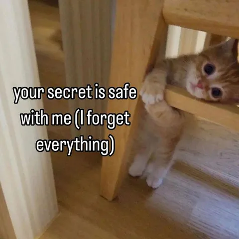 Your Secret Is Safe With Me Cat