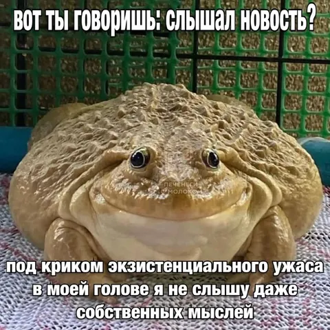 Лягушка не слышит собственных мыслей