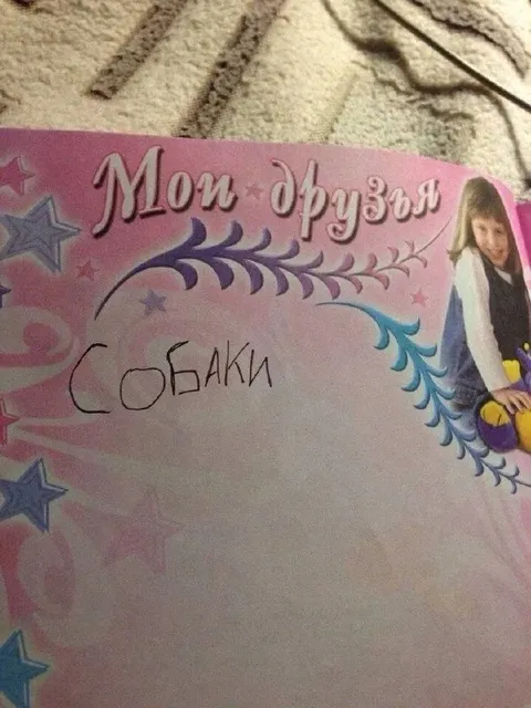Мои друзья — собаки