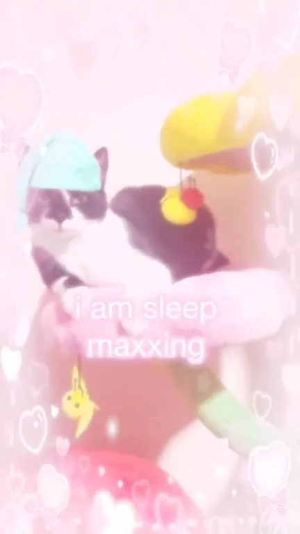 Cat Is Always Going Back to Sleep