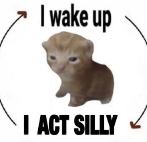 I Wake Up I Act Silly Cat