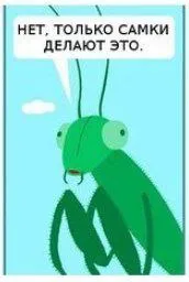 Только самки делают это