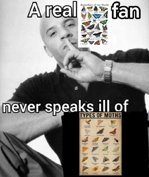 A Real Fan Never Speaks Ill