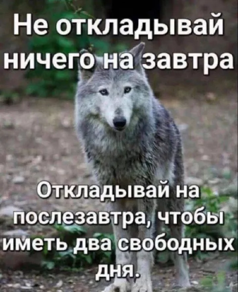 Откладывай на послезавтра