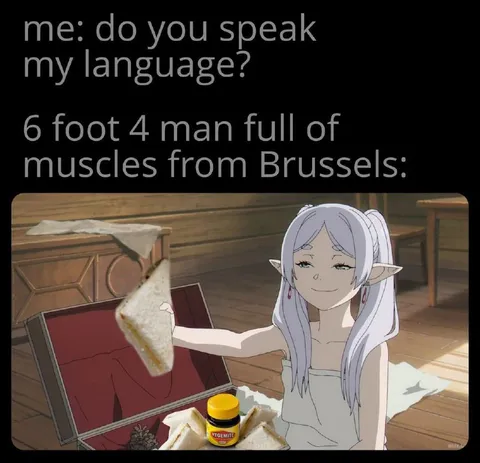 Brussels Man Speaks My Language