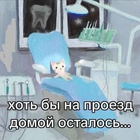 Кот после визита к стоматологу