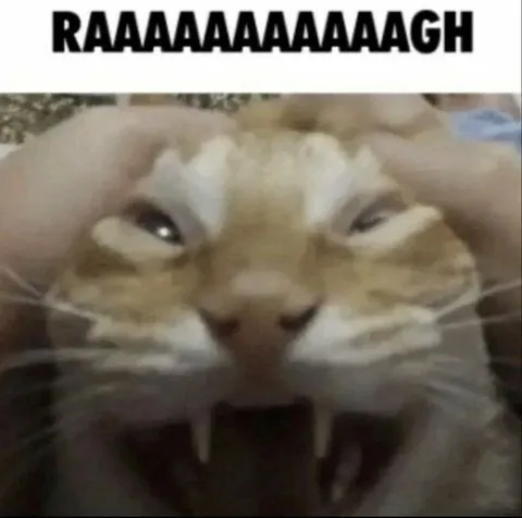 Screaming Cat RAAAAAAAGH