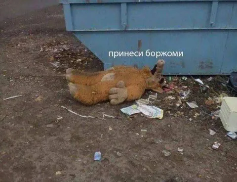 Принеси Боржоми